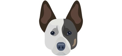 Image for Get Your Project Off To A Great Start With This Pack Of Dog Cricut SVG Designs T