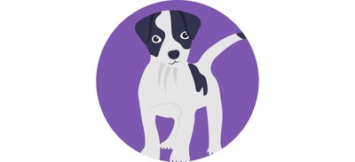 Image for Foxhound Dog Cur Cricut SVG Design