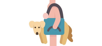 Image for Dog Carry Sling Cricut SVG Design