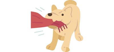 Image for Dog Bite Pulling Cricut SVG Design