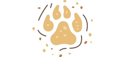 Image for Dog Footprints Track Cricut SVG Design