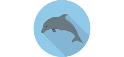 Image for Dolphin Sea Animal Cricut SVG Design