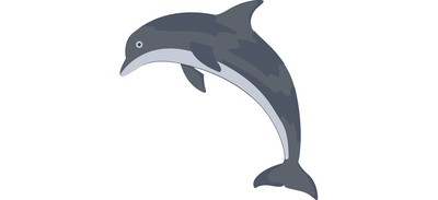 Image for Dolphin Mammal Animal Cricut SVG Design