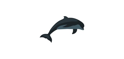 Image for Dolphin Animal Wildlife Cricut SVG Design