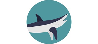 Image for Dolphin Fish Mammal Cricut SVG Design