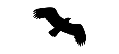 Image for Bird Eagle Wildlife Cricut SVG Design