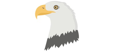 Image for Eagle Flying Bird Falcon Cricut SVG Design