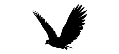 Image for Falcon Eagle Kite Cricut SVG Design