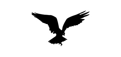 Image for Falcon Eagle Kite Cricut SVG Design