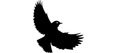 Image for Falcon Eagle Kite Cricut SVG Design