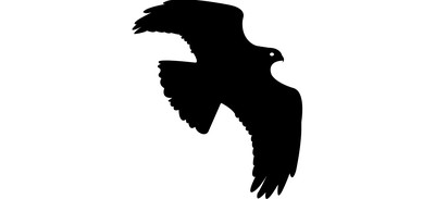 Image for Falcon Eagle Kite Cricut SVG Design