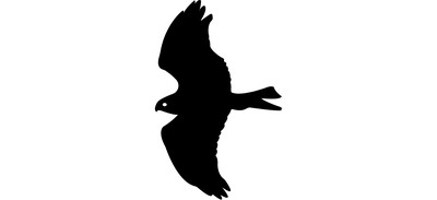 Image for Falcon Eagle Kite Cricut SVG Design