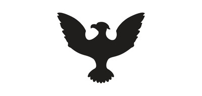 Image for Eagle Usa Bird Cricut SVG Design