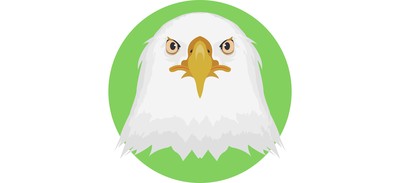 Image for Eagle Hawk White Cricut SVG Design