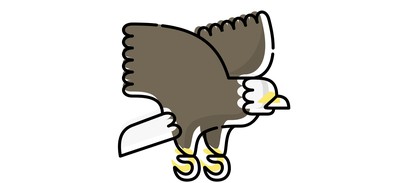 Image for Eagle Hawk Bird Cricut SVG Design