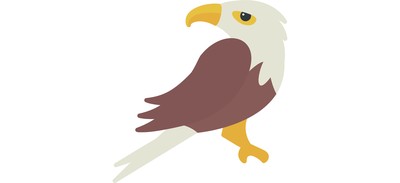 Image for Eagle Hawk Bird Cricut SVG Design