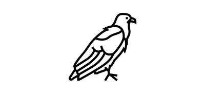 Image for Eagle  Cricut SVG Design