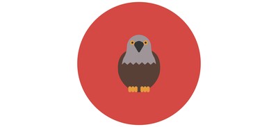 Image for Eagle Animal Cricut SVG Design