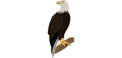 Image for Eagle Wildlife Bird Cricut SVG Design