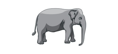 Image for Elephant  Cricut SVG Design