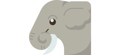 Image for Elephant  Cricut SVG Design