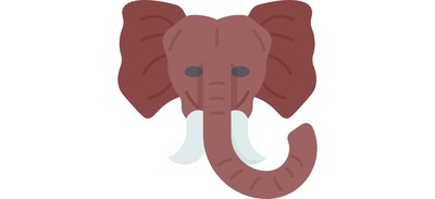 Image for Elephant Head African Cricut SVG Design