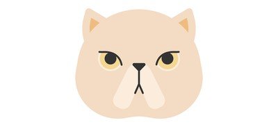 Image for Exotic Shorthair Cricut SVG Design