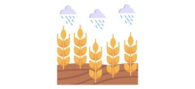 Image for Fields Rain  Cricut SVG Design