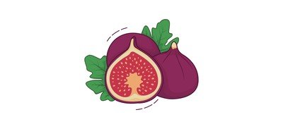 Image for Figs Fruit Fresh Cricut SVG Design