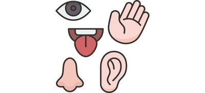 Image for Five Senses Sensory Cricut SVG Design