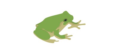 Image for Frog Animal Chameleon Cricut SVG Design