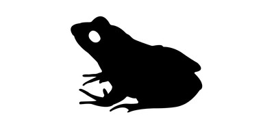 Image for Anura Frog Chordata Cricut SVG Design