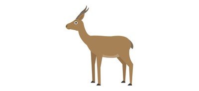 Image for Dorkas Gazelle Animal Cricut SVG Design