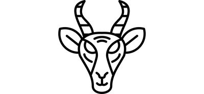 Image for Gazelle Face Gazelle Antelope Cricut SVG Design