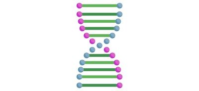 Image for Genome  Cricut SVG Design