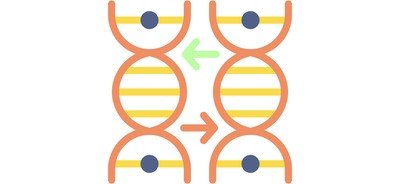 Image for Genome  Cricut SVG Design