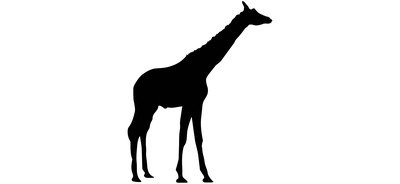 Image for Giraffe Camelopard Animal Cricut SVG Design