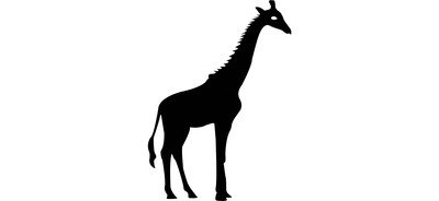 Image for Animal Giraffe Wild Animal Cricut SVG Design