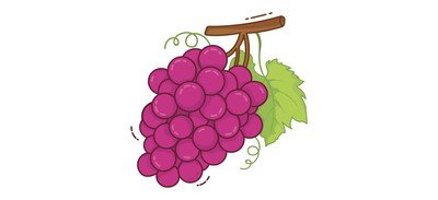 Image for Grapes Fruit Fresh Cricut SVG Design