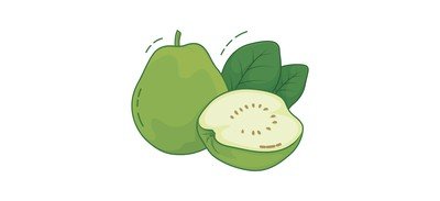 Image for Guava Fruit Fresh Cricut SVG Design