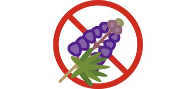 Image for Herb Lupine Allergy Cricut SVG Design