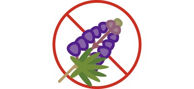 Image for Herb Lupine Allergy Cricut SVG Design