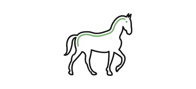 Image for Horse Animal Wildlife Cricut SVG Design