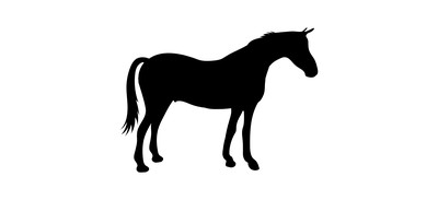 Image for Horse Mare Colt Cricut SVG Design