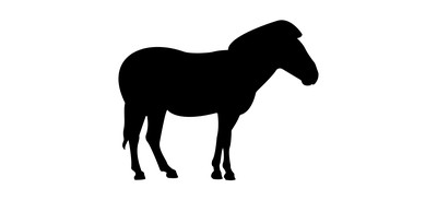 Image for Animal Horse Domestic Animal Cricut SVG Design