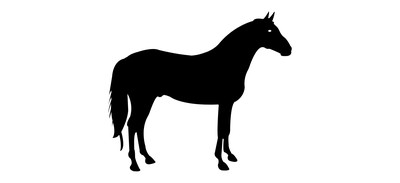 Image for Animal Horse Domestic Animal Cricut SVG Design