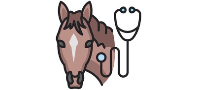 Image for Horse  Cricut SVG Design