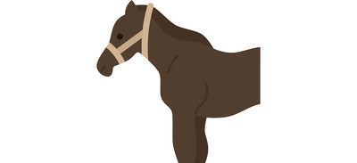 Image for Horse Equine Domestic Cricut SVG Design