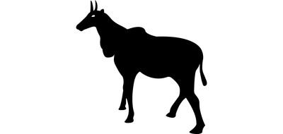 Image for Animal Horse Domestic Animal Cricut SVG Design