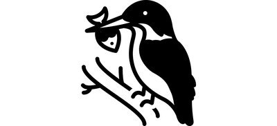 Image for Hunt Kingfisher Prey Cricut SVG Design